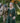 DOMINIQUE GREEN CHECK COAT