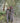 VALERIE GREEN CHECKED PANTS