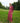 MAGENTA OYAMBRE DRESS