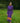PURPLE BABETTE