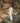 WHITE CALUCA PANTS