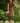 VESTIDO JAMAICA