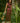 VESTIDO JAMAICA