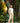 VARADERO VICHY MUSTARD PANTS
