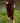 PANTALON ODETTE