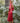 vanderwilde-vestidos cortos de fiesta-evening dresses-guest dresses-vestidos de invitada boda-vestidos de satén-escote espalda-espaldas bonitas